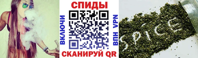 блэк спрут вход  Макаров  Бутират буратино 