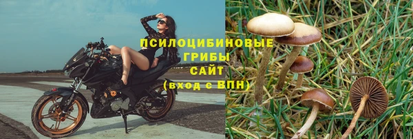 кокаин Белокуриха